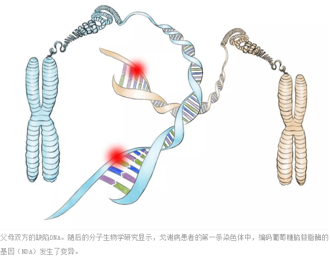 微信截图_20190930214822.png