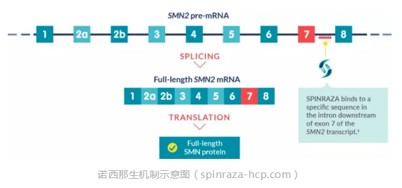 微信截图_20191122232358.png