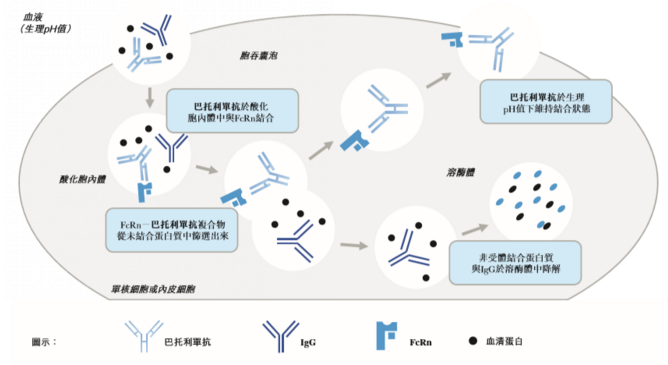 微信截图_20210124142650.png